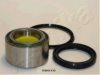 ASHIKA 44-18010 Wheel Bearing Kit